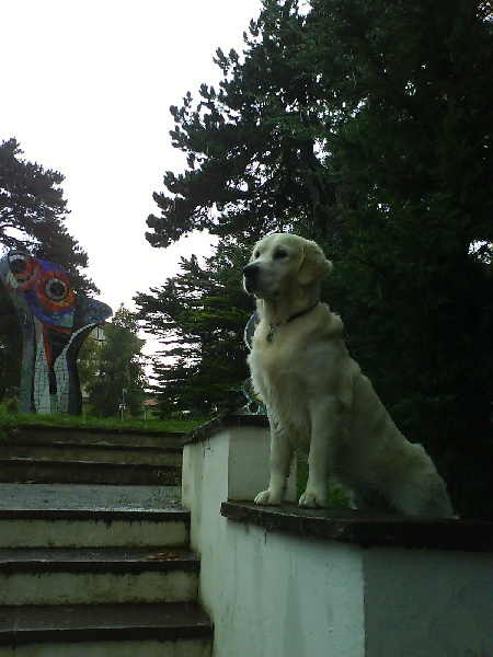 Mon Album photo